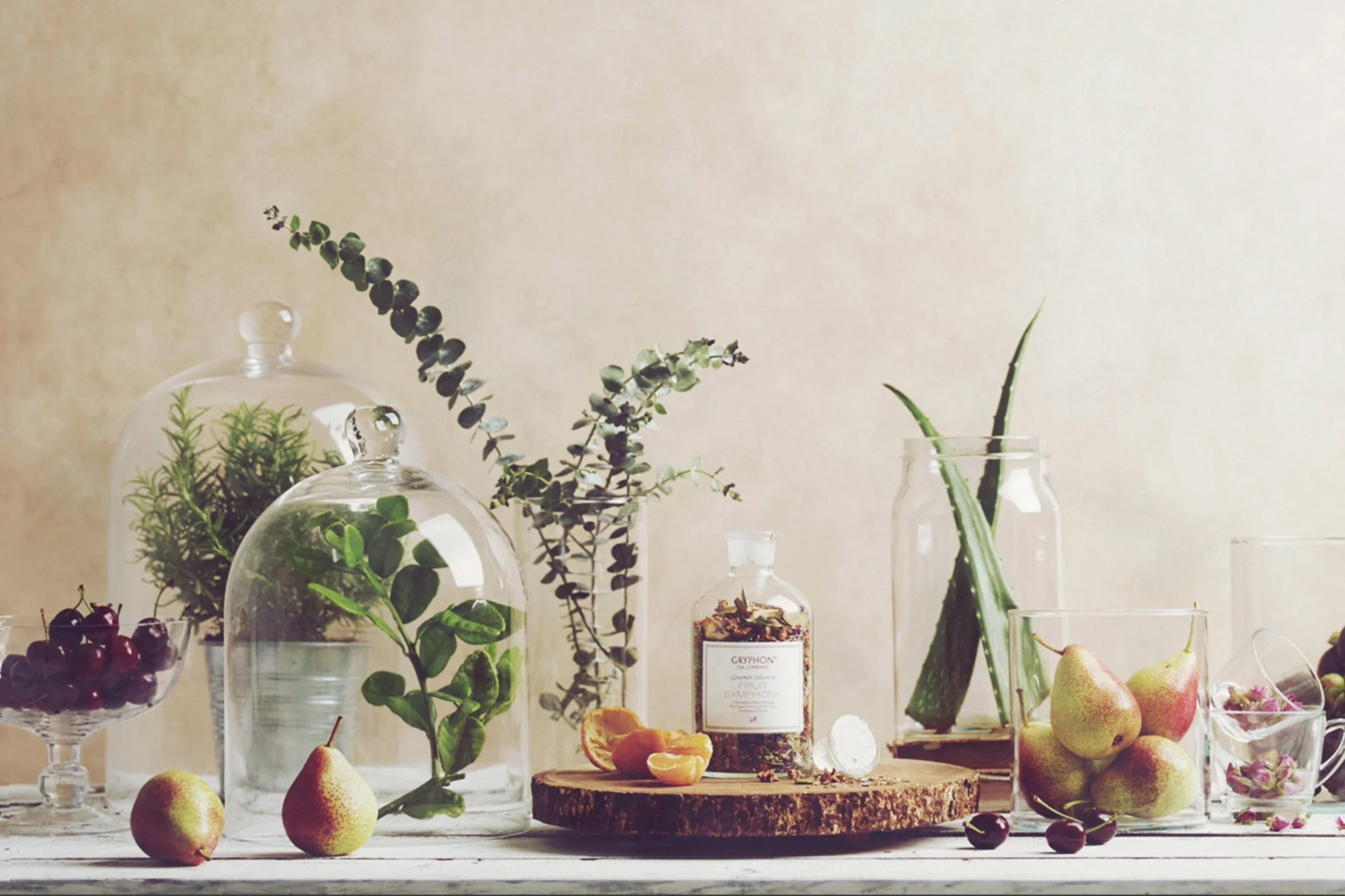 Gryphon Tea brand and digital design by Manic Singapore